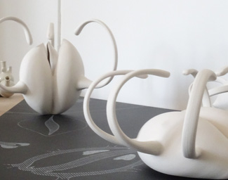 cabinet de curiosités