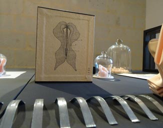 cabinet de curiosités