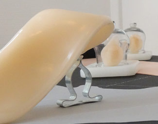 cabinet de curiosités # 2